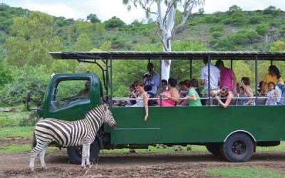 jungle-trekking-mauritius